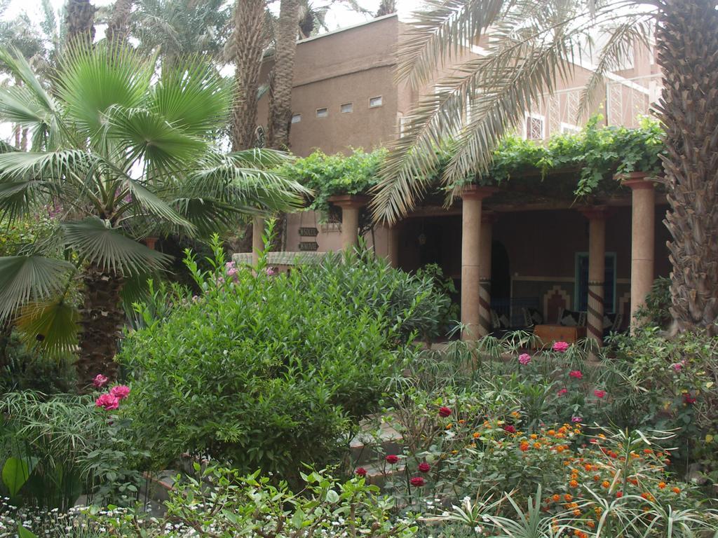 Fibule Du Draa Kasbah D'hôtes Zagora Extérieur photo