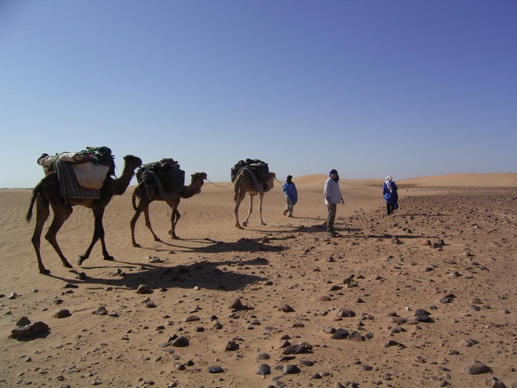 Fibule Du Draa Kasbah D'hôtes Zagora Extérieur photo