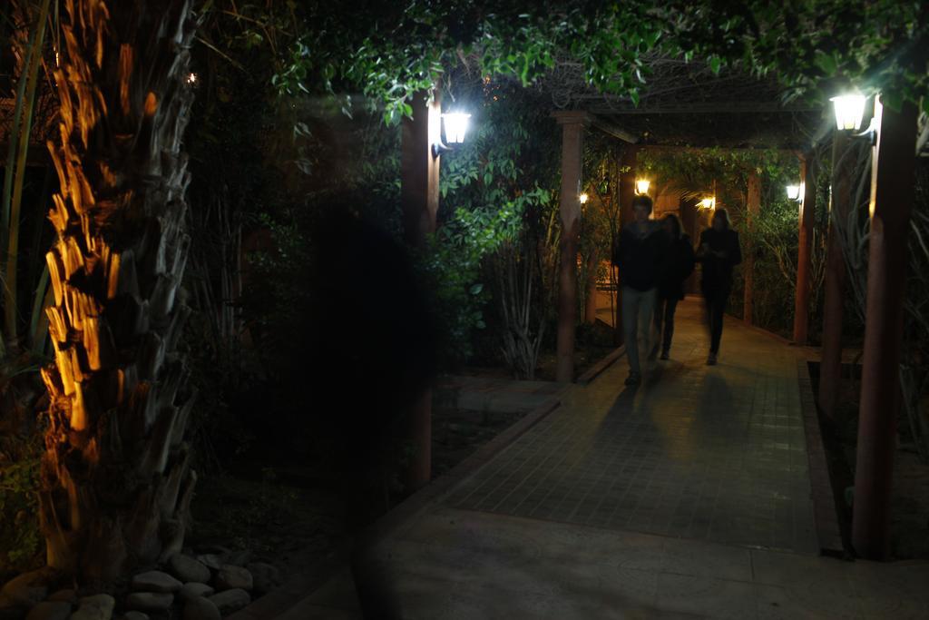 Fibule Du Draa Kasbah D'hôtes Zagora Extérieur photo