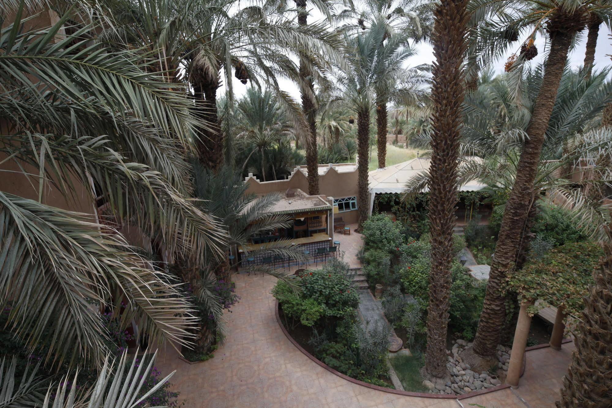 Fibule Du Draa Kasbah D'hôtes Zagora Extérieur photo