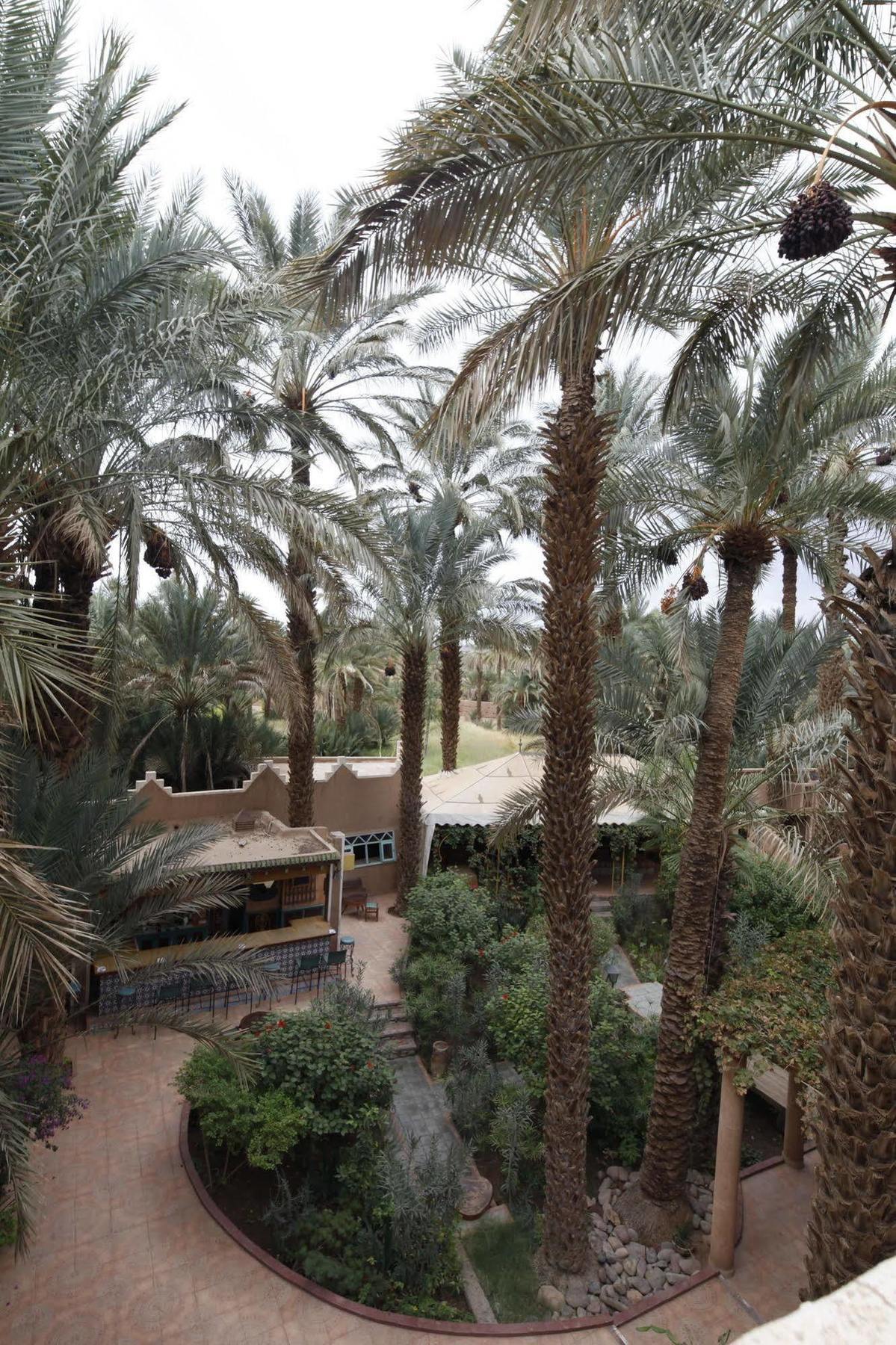 Fibule Du Draa Kasbah D'hôtes Zagora Extérieur photo